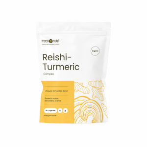 MycoNutri Reishi Turmeric 100g powder